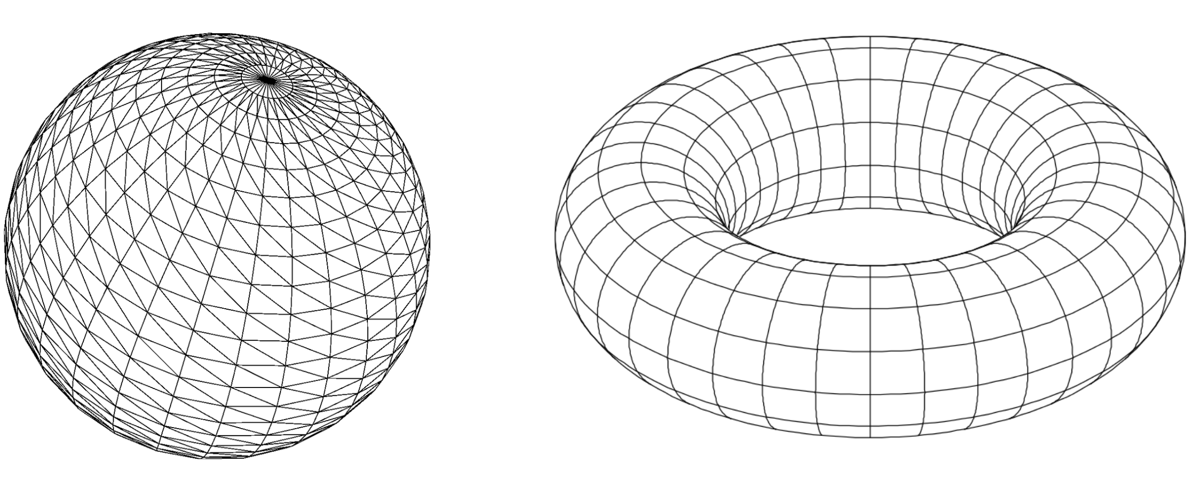 Two manifolds with topological holes.